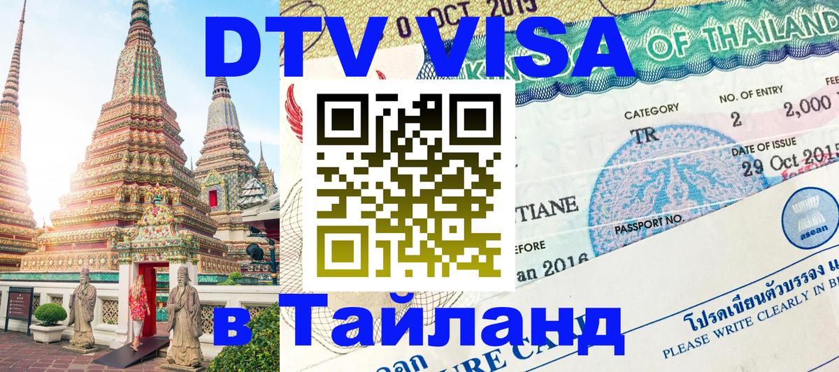 Сколько стоит DTV виза — актуальные цены, оформление даже без документов - Брянск 